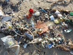 PACA : lancement de la campagne « Zéro Plastique en Méditerranée »